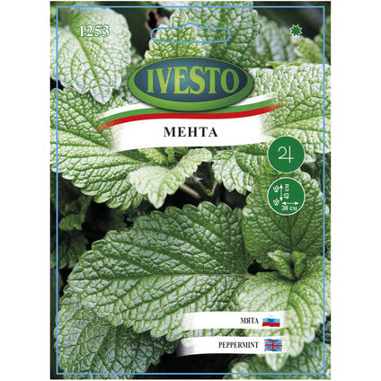 IVESTO MINT SEEDS