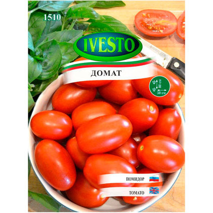 CHICO IVESTO TOMATO SEEDS
