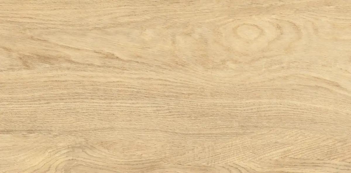 PORCELAIN TILE LEONARDO NATURAL 30.3X60.6