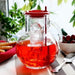 JACKET WITH COOLER 2L KUFRA BRIO - Кани гарафи и бутилки<<<Домашни потреби<<<Кухня<<<Praktiker
