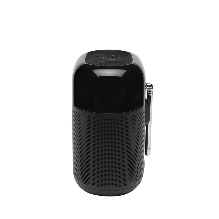 Bluetooth speaker with radio JBL Tuner XL Black