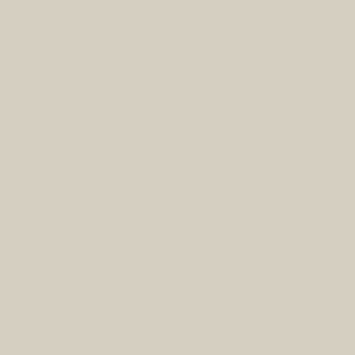 RENOVATION PAINT HYDRO-PROTECT WARM GRAY 2 L JEGER