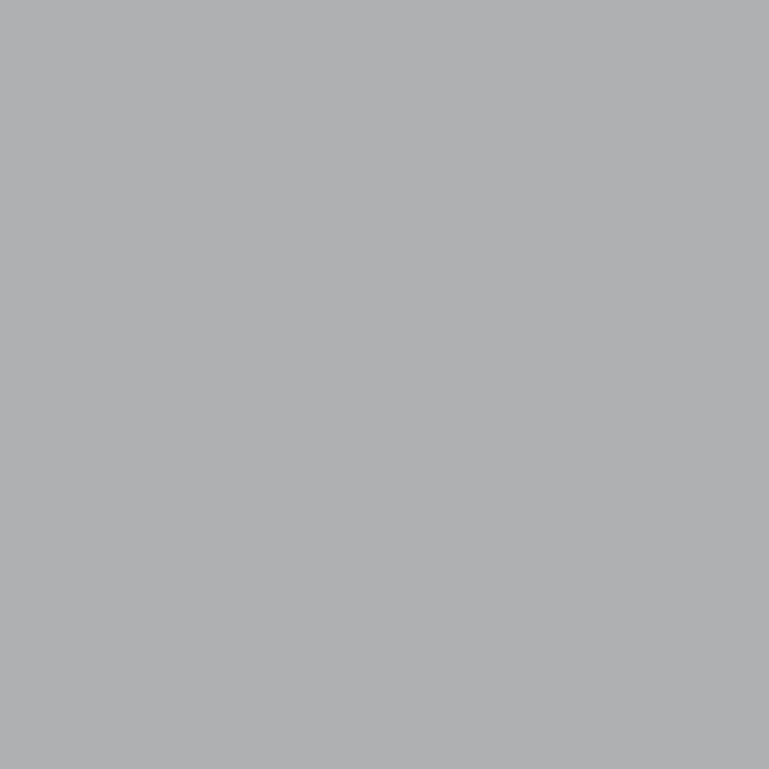 EPOXY PAINT FOR RENOVATIONS GRAY 2 L JEGER