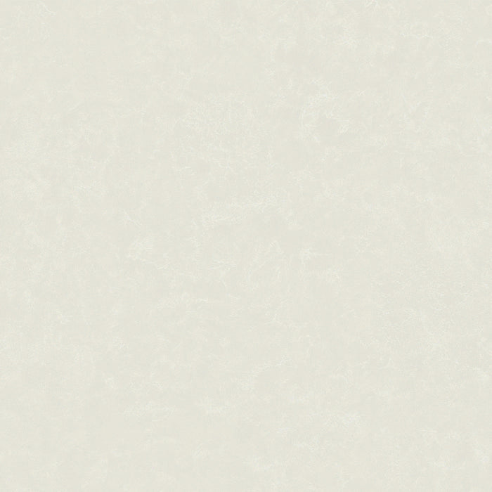 DECORATIVE PLASTER PERLE JEGER