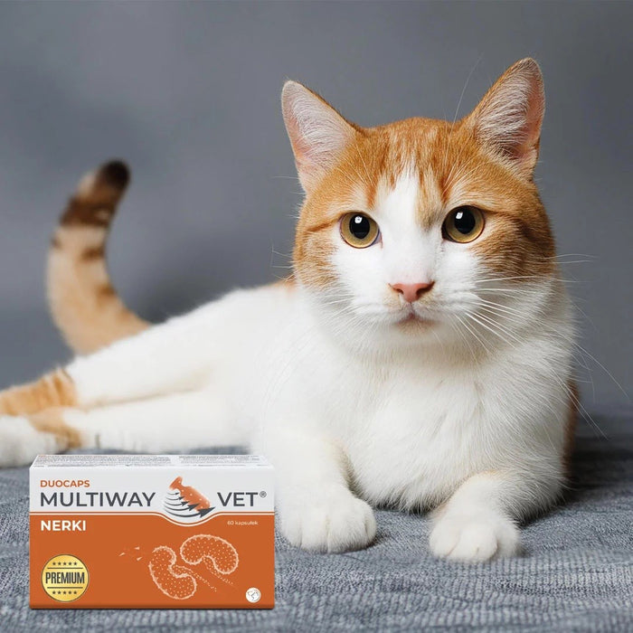 JM SANTE Multiway Vet Duocaps Kidneys - twist-off capsules for kidneys for dogs and cats – 60 pcs