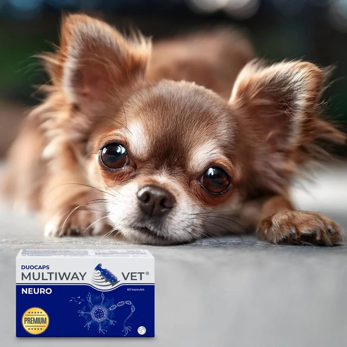 JM SANTE Multiway Vet Duocaps Neuro - twist-off capsules supporting the nervous system for dog and cat – 60pcs