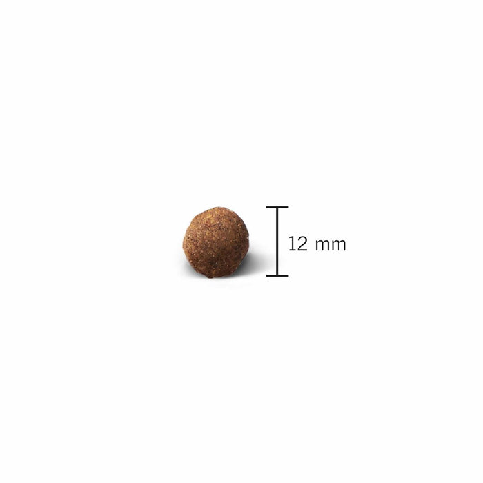 JOHN DOG Fresh Lamb - dry dog food - 12kg
