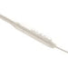 Joyroom JR-D8 wireless neckband headphones (cream white) - Sports<<<Wireless<<<Headphones<<<Audio<<<InnproXML&&&Cell