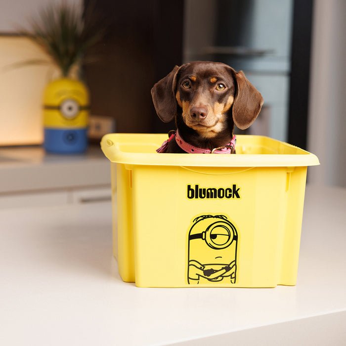 STORAGE BOX 15 L KEEEPE KAROLINA KEEEPER