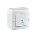 KEY DEVIATOR FOR OUTDOOR MOUNTING IP20 WHITE MONO OCTANS - Ключове и контакти<<<Електроматериали<<<Praktiker&&&Ключове