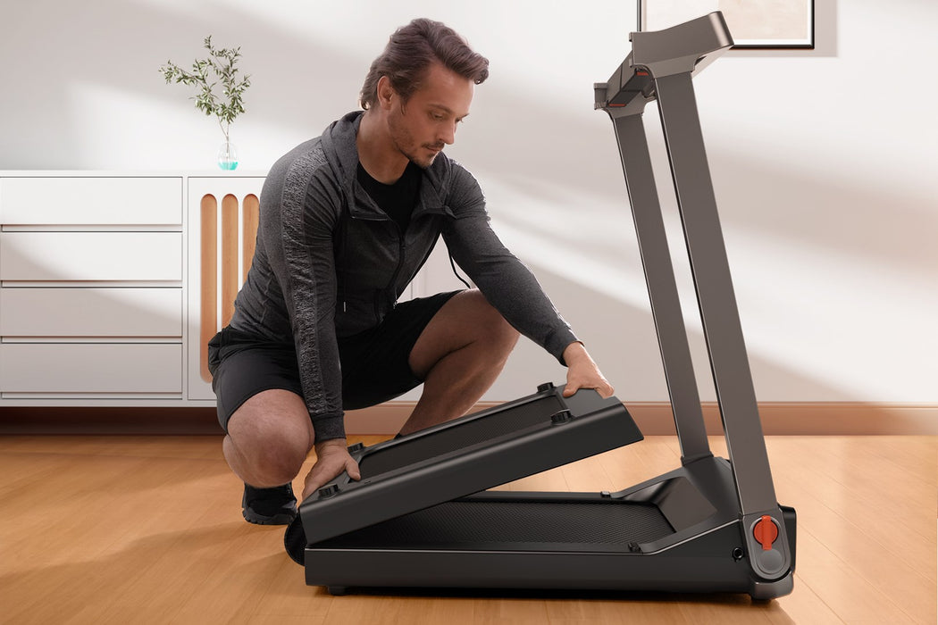 Electric treadmill Kingsmith TREADMILL G1