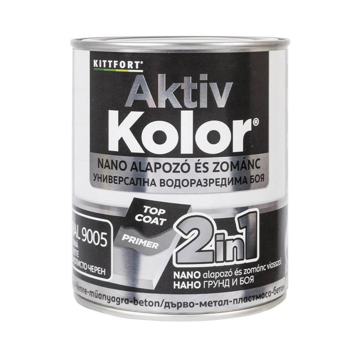 PAINT 2IN1 AKTIV COLOR RAL9005 BLACK