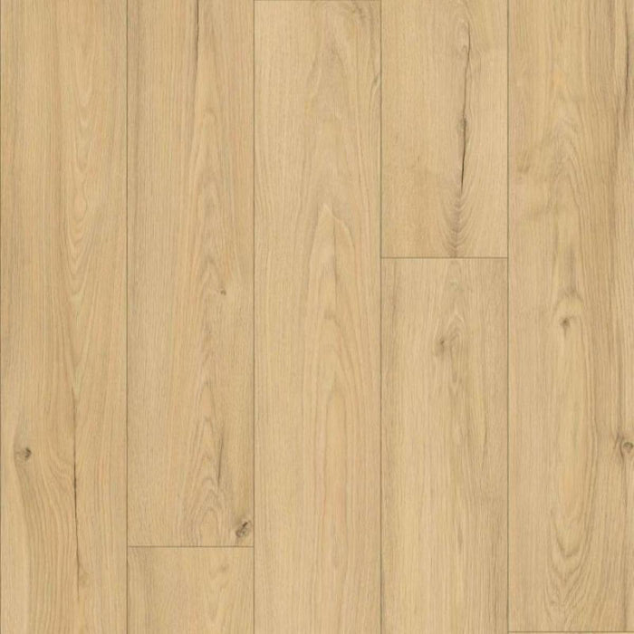 LAMINATE 8MM AC5/33 4V K793 OAK PASSWORDS