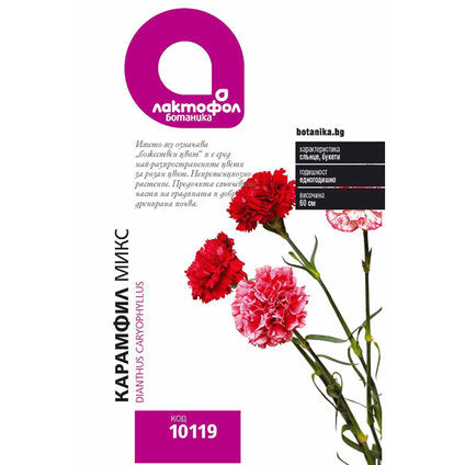 CARNATION SEEDS MIX LACTOFOL BOTANICA