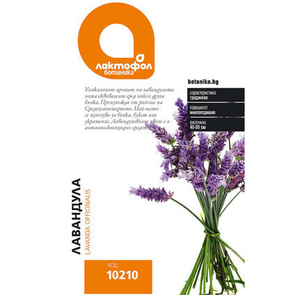 LAVENDER SEEDS LACTOFOL BOTANICA