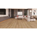 LAMINATED PARQUET KASTAMONU CANYON OAK KT405 8.00 mm 32/AC4 CHAMBER - Паркет<<<Паркет и елементи за монтаж<<<Подови и