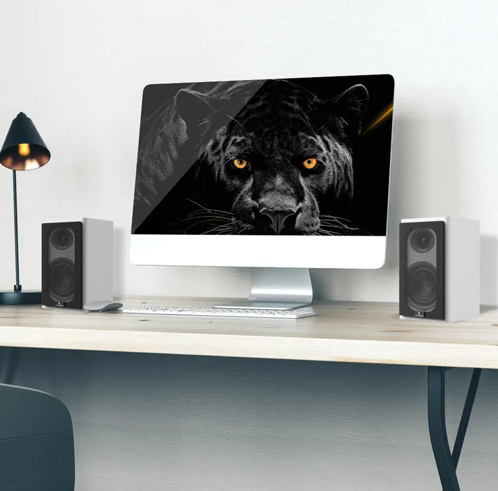 Laudberg Speakers 2.0, XS1W