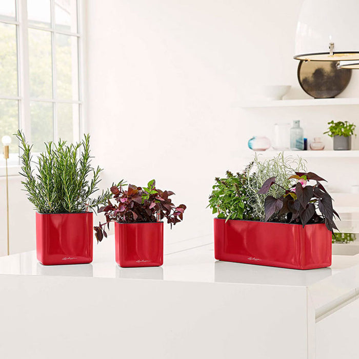 POT 14X14CM WITH IRRIGATION SYSTEM LECHUZA CUBE GLOSSY