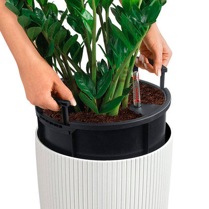 POT Φ23CM WITH IRRIGATION SYSTEM LECHUZA CILINDRO