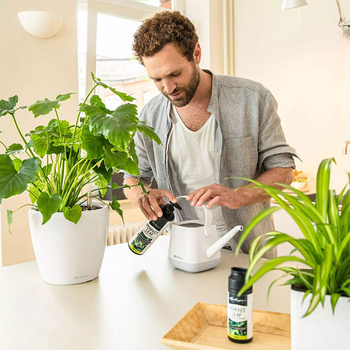 LIQUID FERTILIZER FOR GREEN PLANTS 0.475L LECHUZA