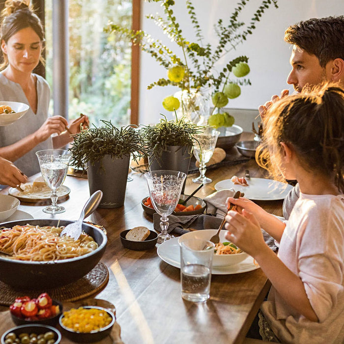 POT 14X14CM WITH IRRIGATION SYSTEM LECHUZA DELTINI