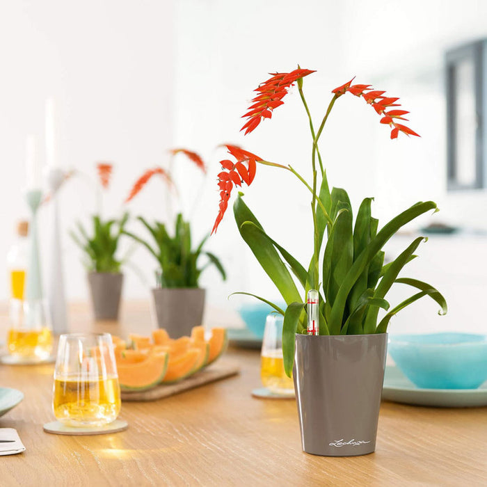 POT 14X14CM WITH IRRIGATION SYSTEM LECHUZA DELTINI