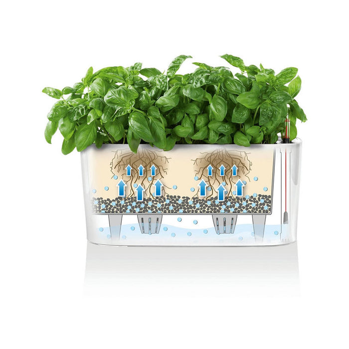 POT 30X11X13CM WITH IRRIGATION SYSTEM LECHUZA DELTA