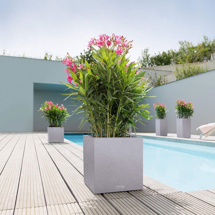30X30CM POT WITH IRRIGATION SYSTEM LECHUZA CANTO