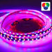 LED STRIP 120/1 18W IP20 5M RGB VIVALUX - LED ленти и аксесоари<<<Вътрешно осветление<<<Мебели и