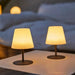 LED Table Lamp Lumisky Grey - Декорация и Осветление<<<Дом Градина<<<BigBuy&&&Лампи<<<Декорация и Осветление<<<Дом