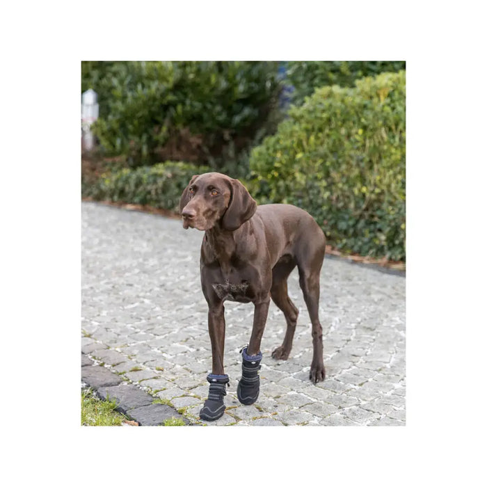 Leg protection walker Trixie Black L - Домашни Животни<<<Дом Градина<<<BigBuy&&&Пътуване и разходки<<<Домашни