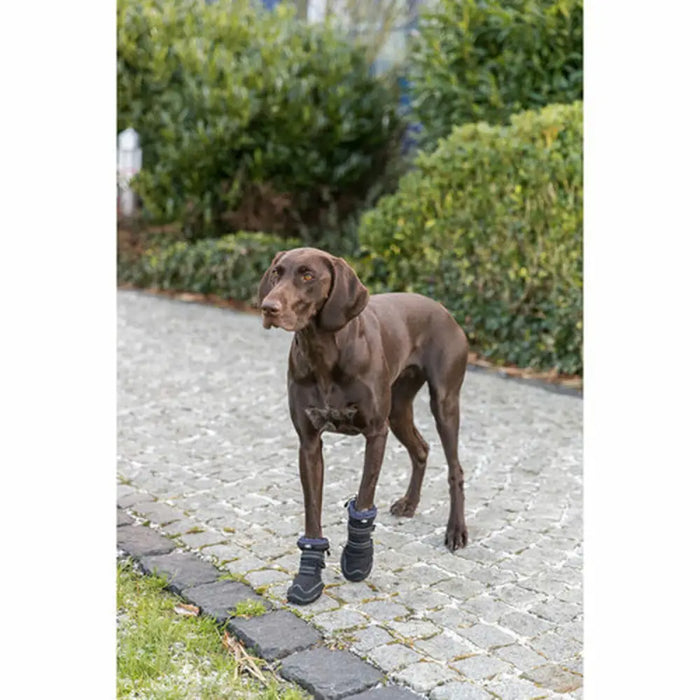 Leg protection walker Trixie Black L - Домашни Животни<<<Дом Градина<<<BigBuy&&&Пътуване и разходки<<<Домашни