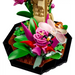 LEGO IDEAS 21342 The Insect Collection - LEGOKLO-LEG<<<Construction setKLO<<<ActionPL