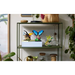 LEGO IDEAS 21342 The Insect Collection - LEGOKLO-LEG<<<Construction setKLO<<<ActionPL