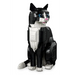 LEGO IDEAS 21349 Tuxedo Cat - LEGOKLO-LEG<<<Construction setKLO<<<ActionPL