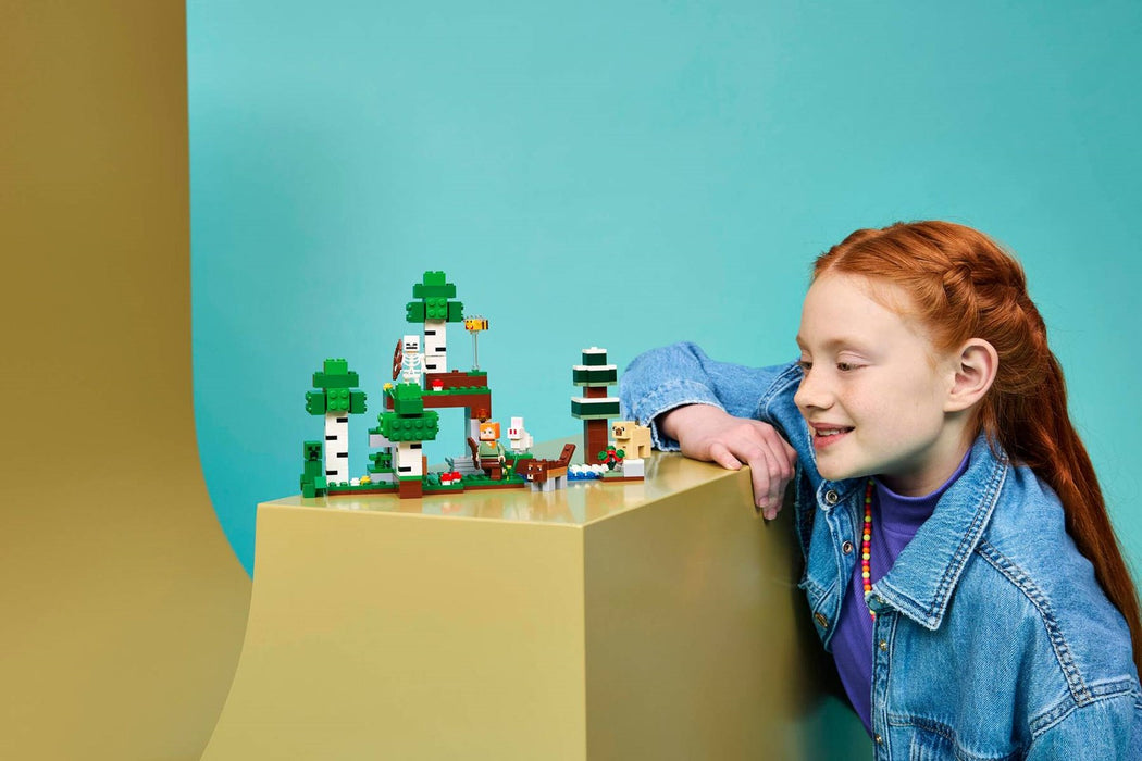 LEGO MINECRAFT 21593 First Night Adventure