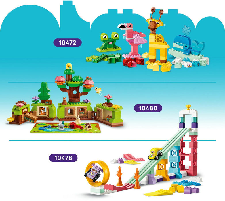 LEGO DUPLO 10479 Colorful Creative Box