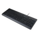 Lenovo Essential keyboard Universal USB QWERTY US English Black - KeyboardsPER-KLA<<<Input / Output