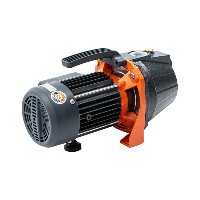 GARDEN PUMP LEO EKJ 802I