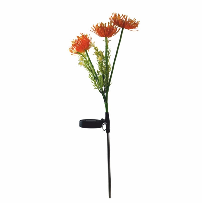 LED SOLAR SANTE ORANGE LIGHTEX