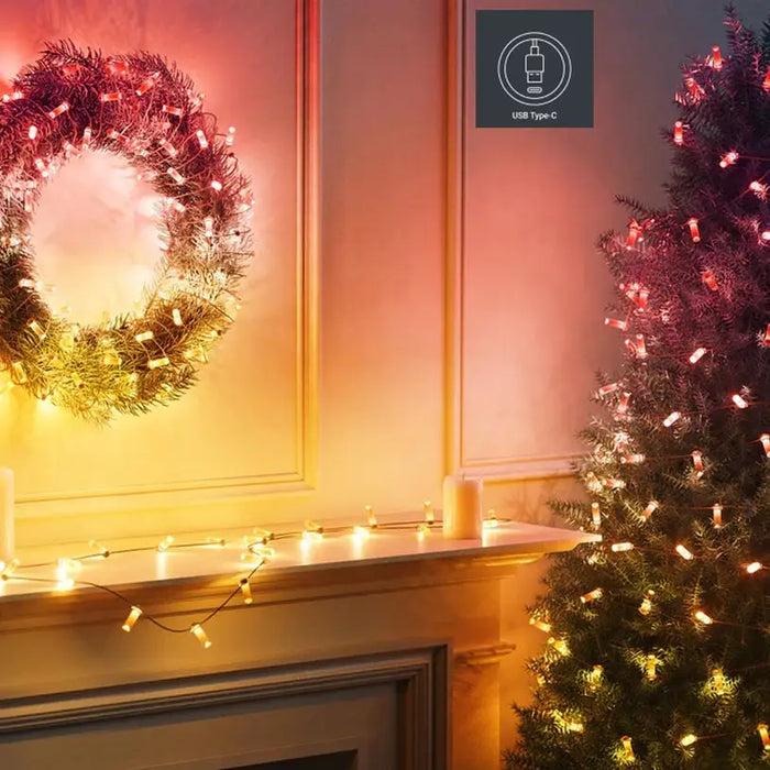 LIGHTING GARLAND 600CM 200LED TWINKLY TWKC200RGB-G - Шатри<<<Чадъри сенници и шатри<<<Градина<<<Praktiker&&&Christmas