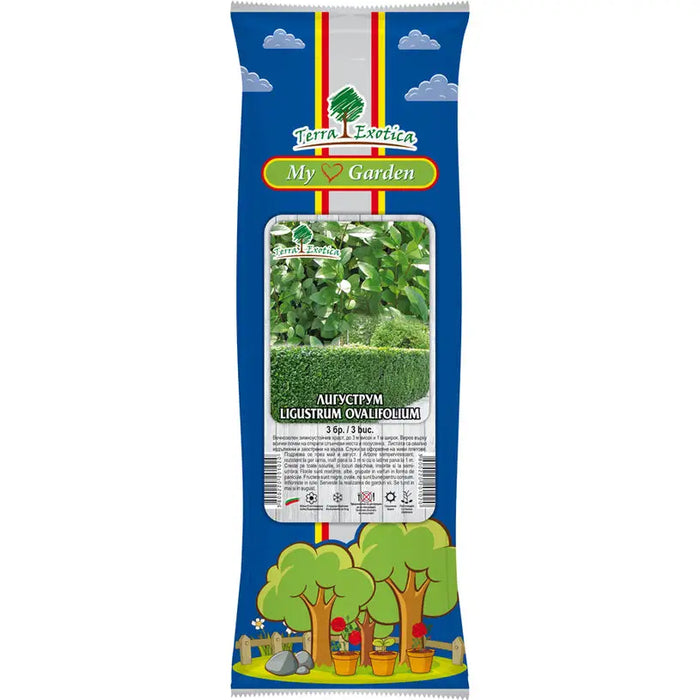 LIGUSTRUM ROOT EKZOTIKA - Корени<<<Външни растения<<<Градина<<<Praktiker