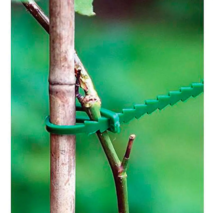 LINKS FOR PLANTS 80PCS X 120MM - Други инструменти<<<Градински ръчен инструмент<<<Градина<<<Praktiker&&&Други