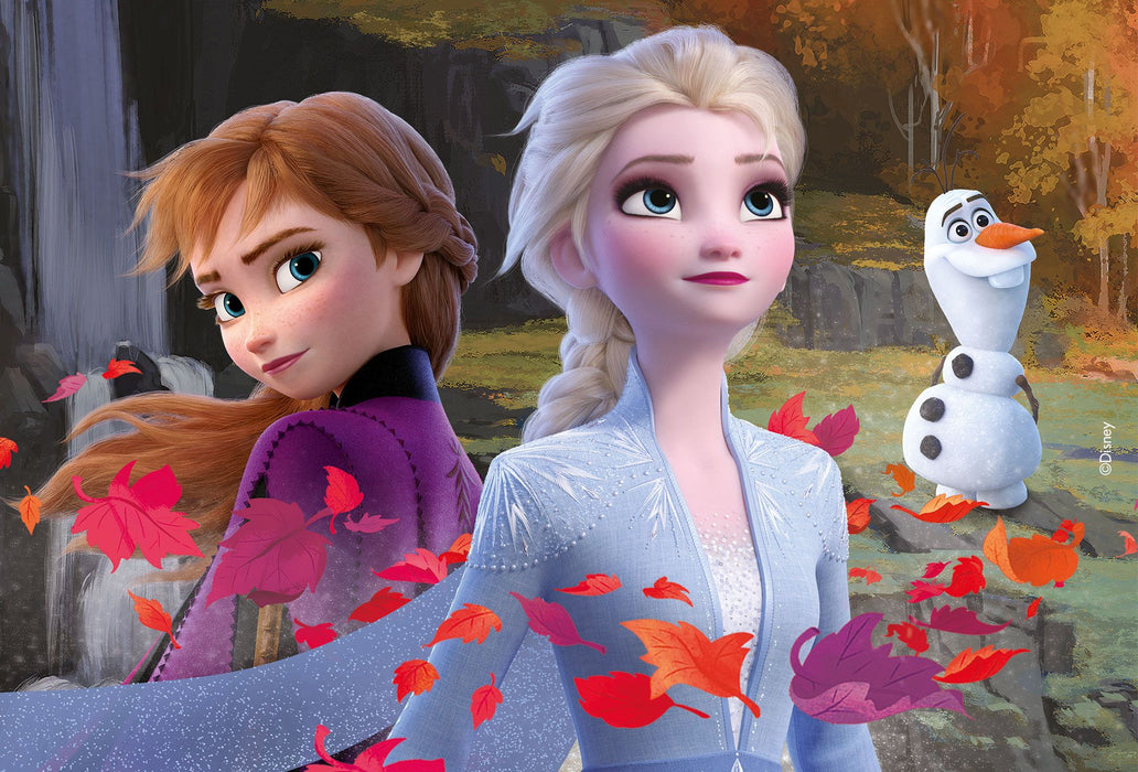 Double-sided Puzzle Plus 24 Frozen 2