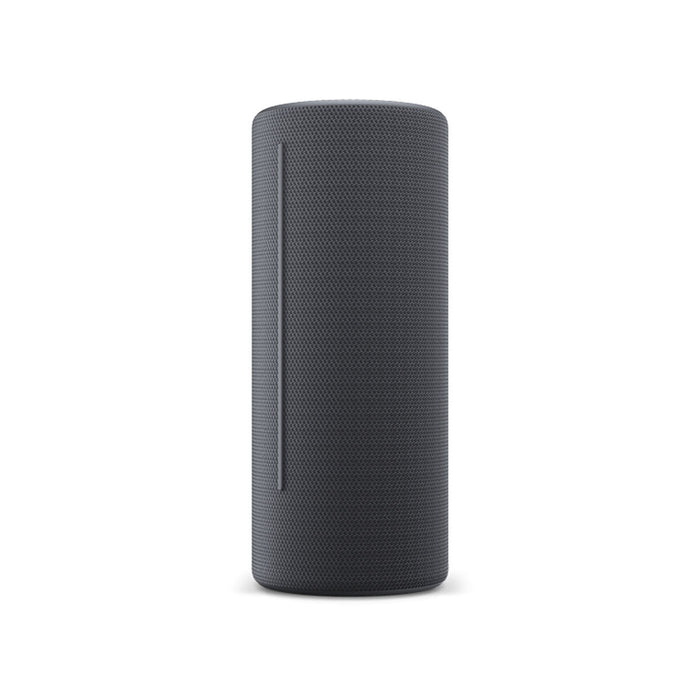 Portable Speaker Loewe We. HEAR 2 Grey 15 W 60 W