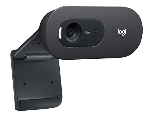 Webcam with microphone LOGITECH C505e