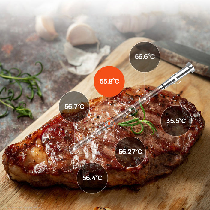 Meatmeet S Pro Kitchen Thermometer with Bluetooth App for Grill, Oven, Smoker - Gray