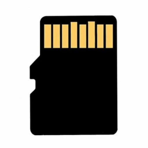 Memory Card Kingston MTMSDM0155 - Компютър Мрежи и компоненти<<<Компютри| Електроника<<<BigBuy&&&Карти с