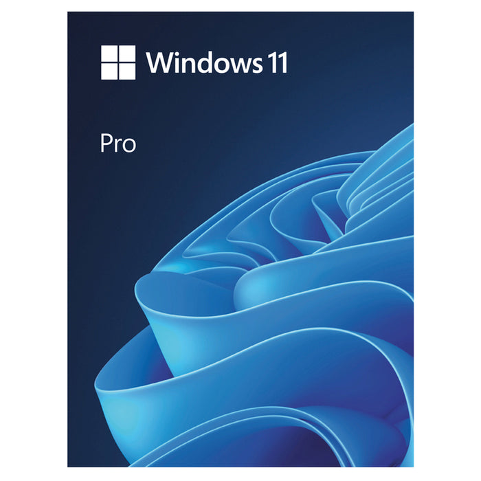 PC Software MICROSOFT WIN 11 PRO BG USB HAV-00204