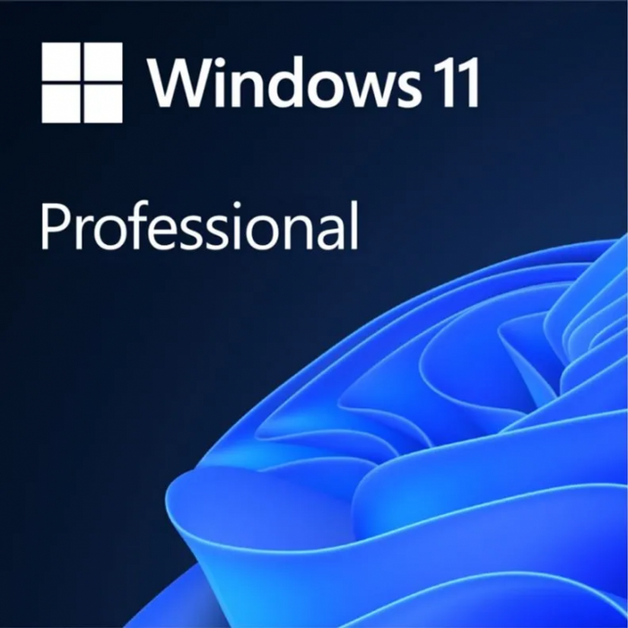 Software MS Windows Pro 11 ESD 64-bit All lang Downloadable